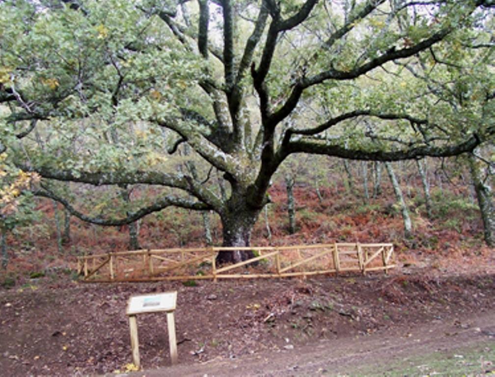 Las Calabazas Barrado Cameră foto
